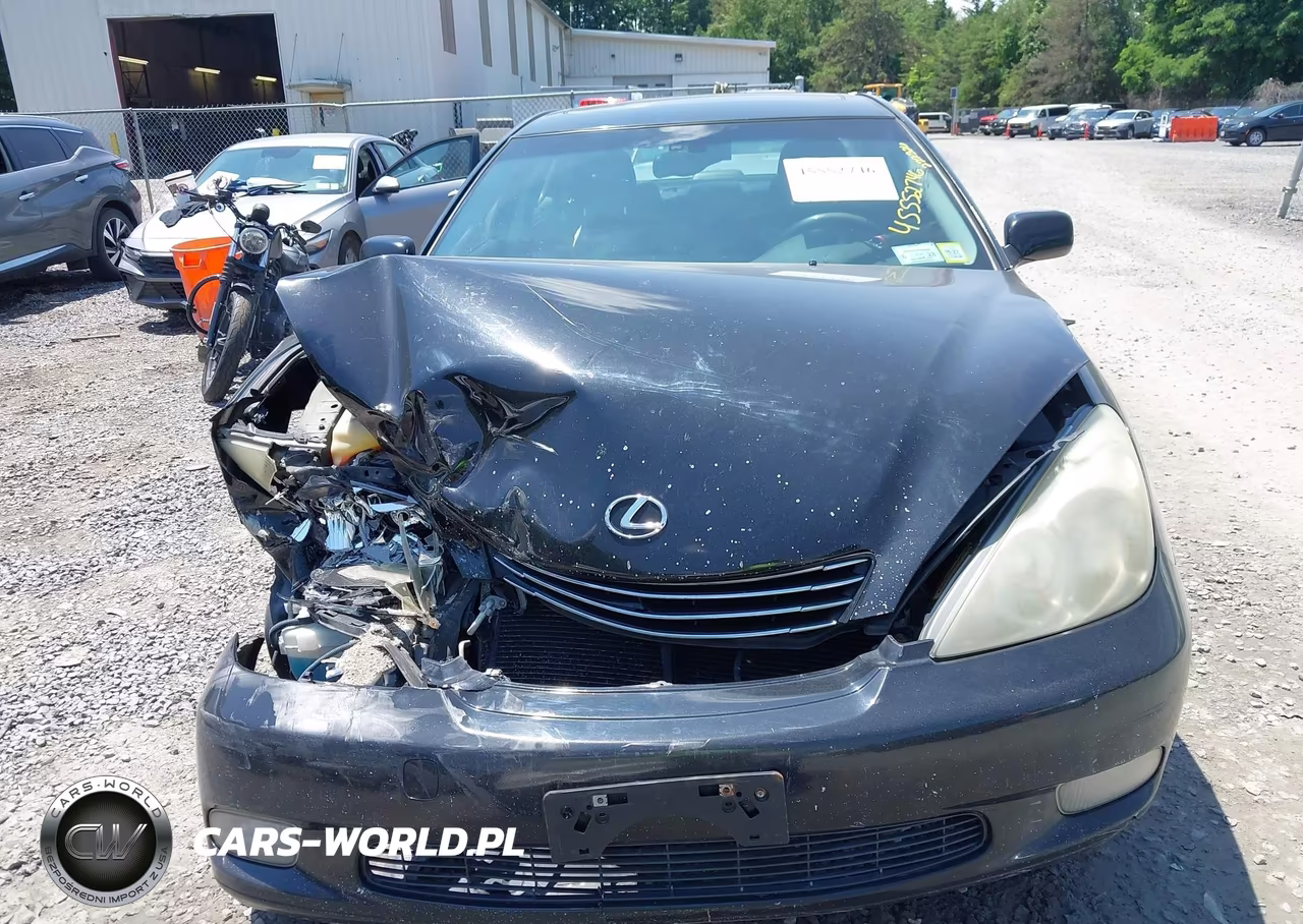 2004 Lexus Es 330 VIN:JTHBA30G245055299 - 6