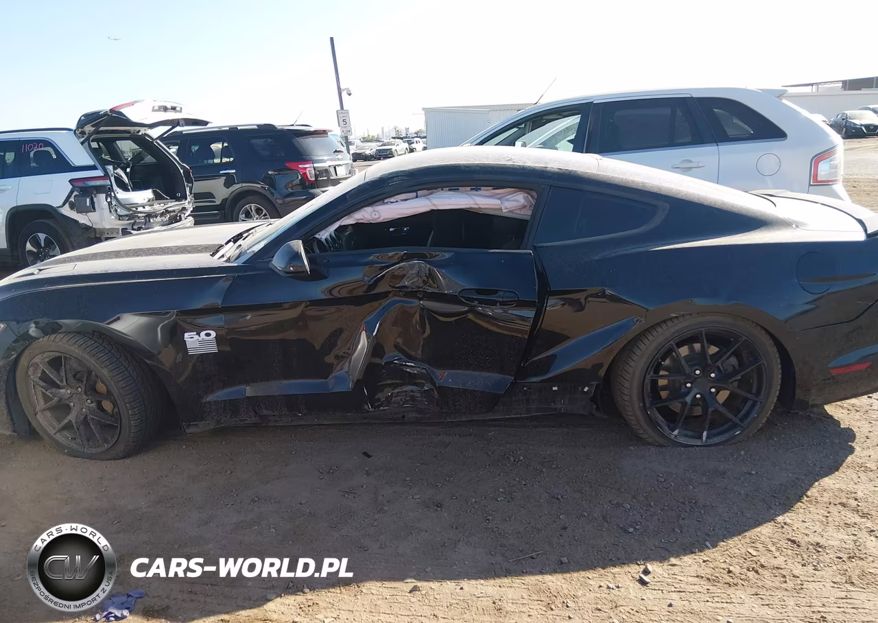2016 Ford Mustang Gt-Gt Premium VIN:1FA6P8CF7G5328507 - 14