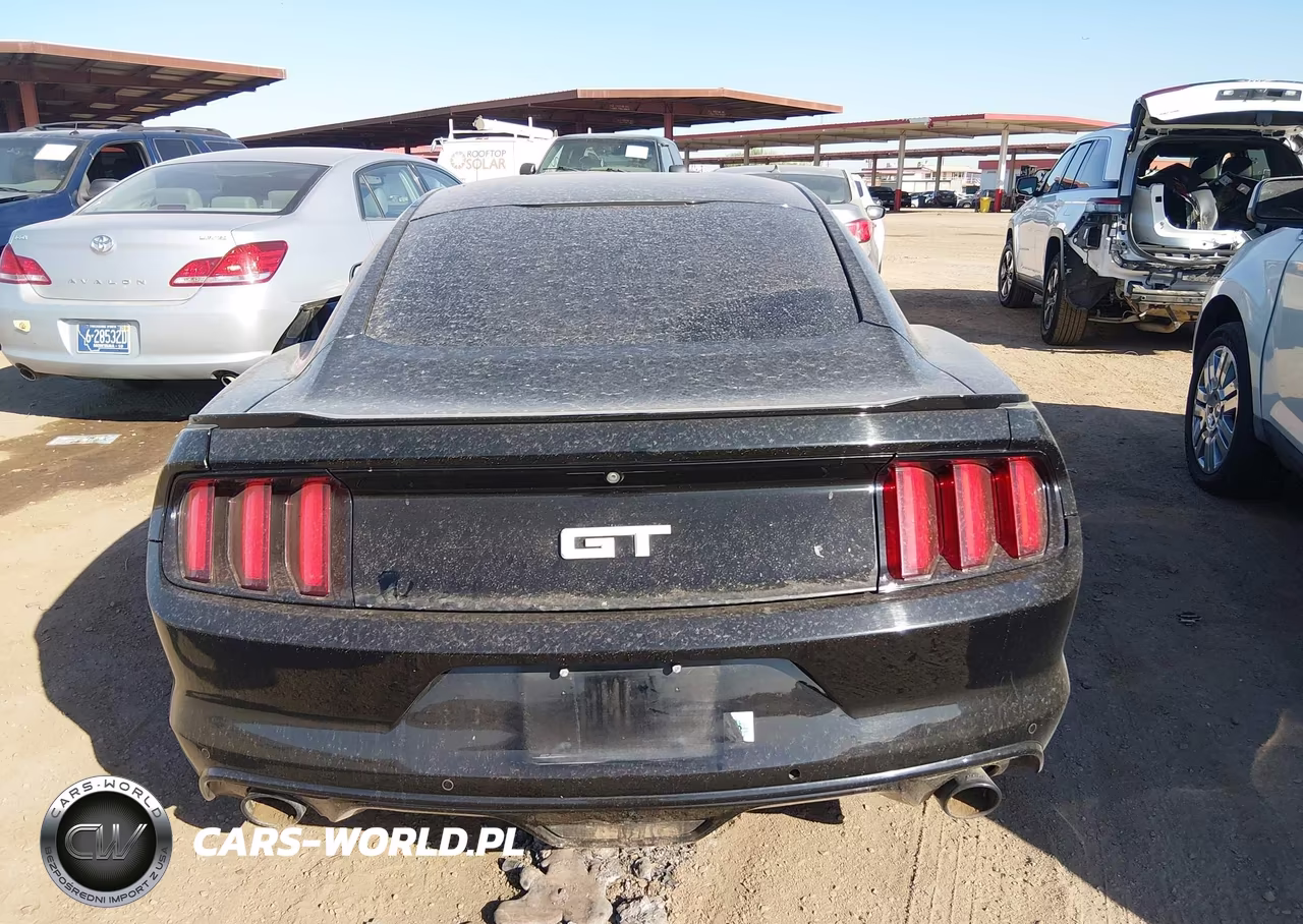 2016 Ford Mustang Gt-Gt Premium VIN:1FA6P8CF7G5328507 - 16