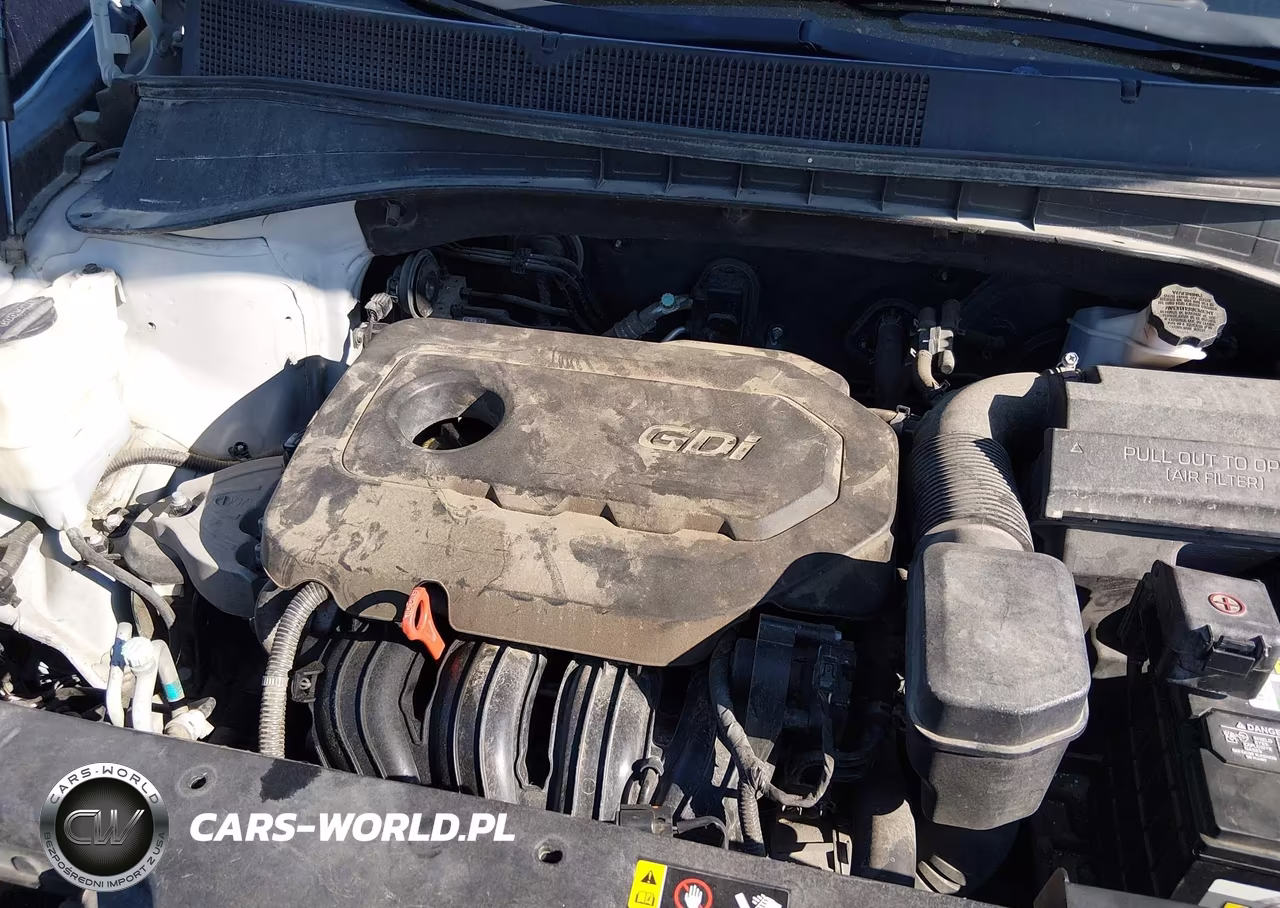 2018 Kia Sorento 2.4L L VIN:5XYPG4A34JG354870 - 10