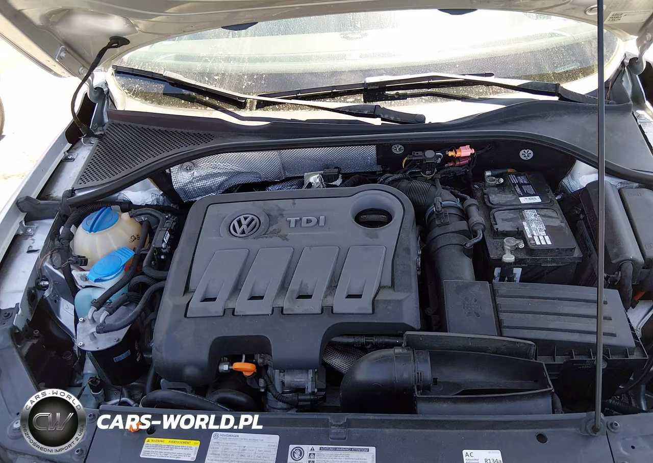 2013 Volkswagen Passat 2.0L Tdi Sel Premium VIN:1VWCN7A36DC009674 - 10