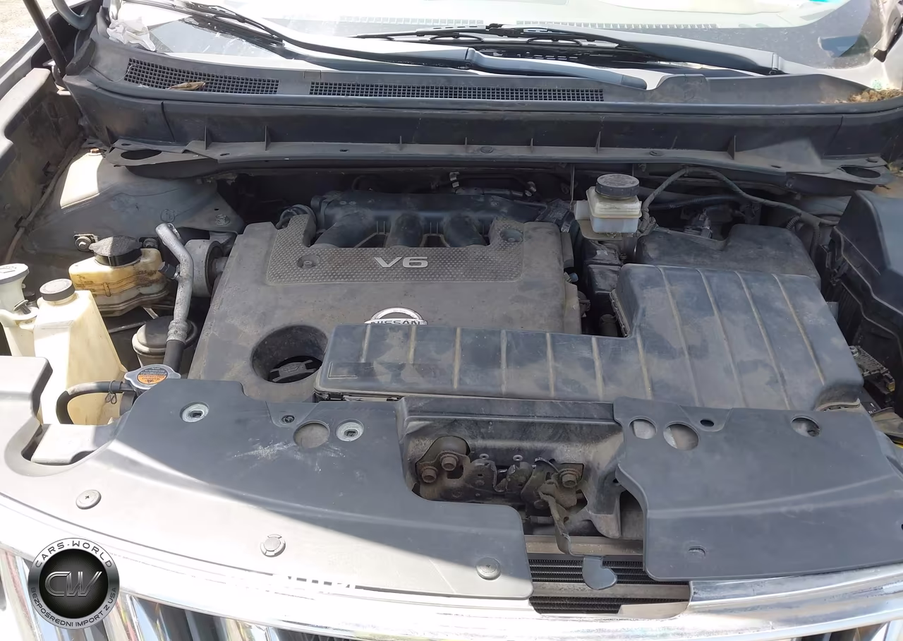 2009 Nissan Murano Sl VIN:JN8AZ18W59W148216 - 10