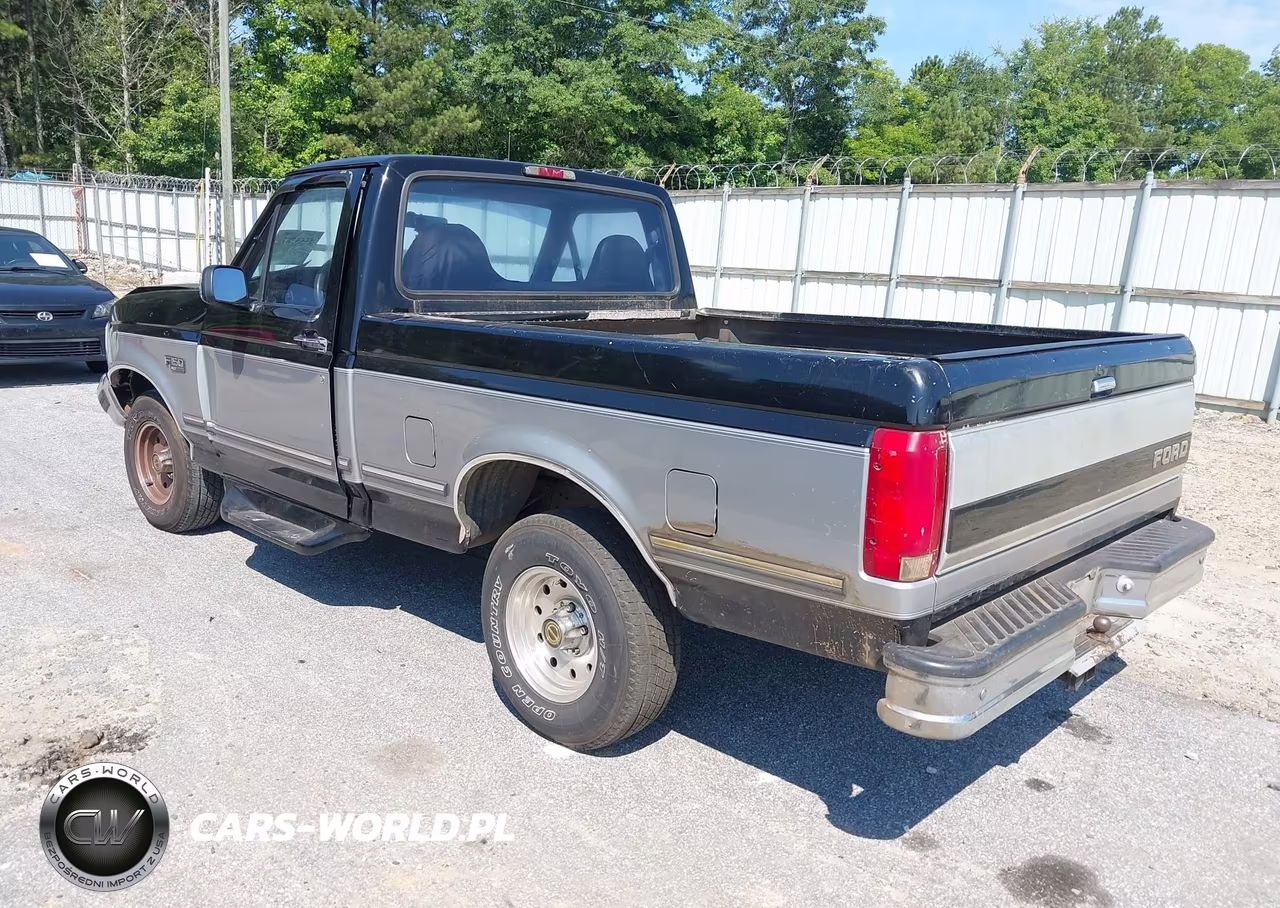 1995 Ford F150 VIN:1FTEF15N1SNB43446 - 3