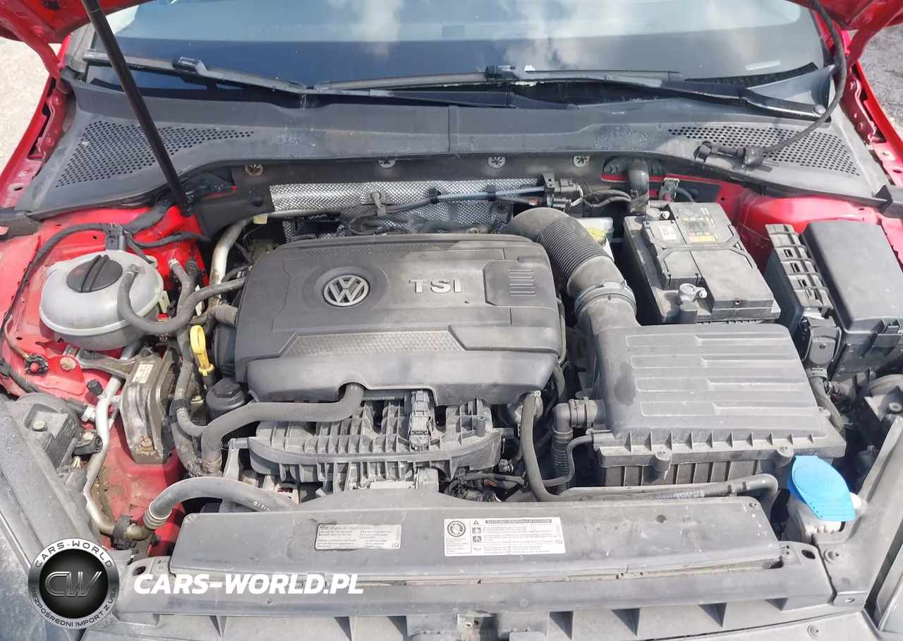 2016 Volkswagen Golf Tsi S 4-Door VIN:3VW217AUXGM027680 - 10
