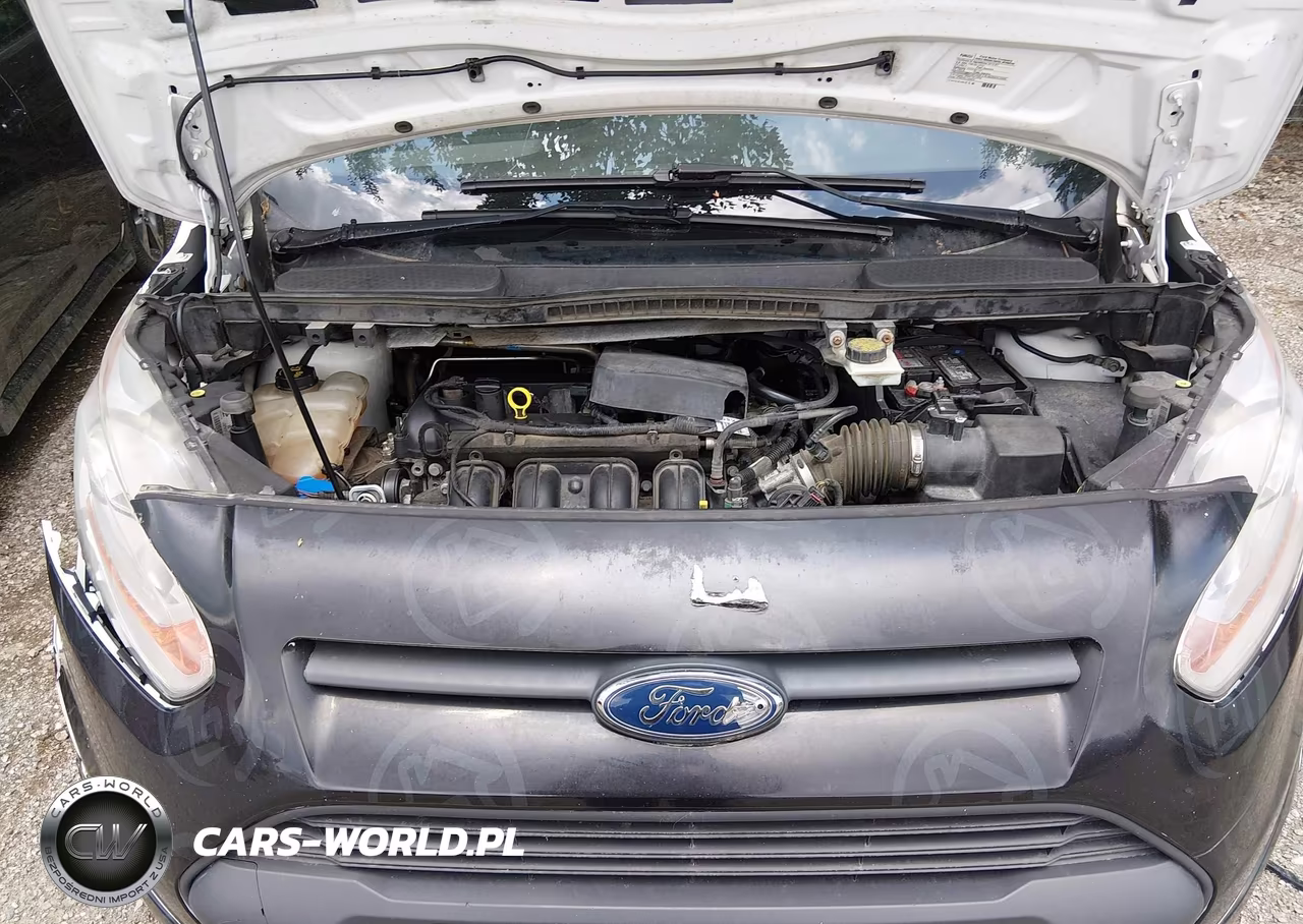 2018 Ford Transit Connect Xlt VIN:NM0LS7F7XJ1347509 - 10