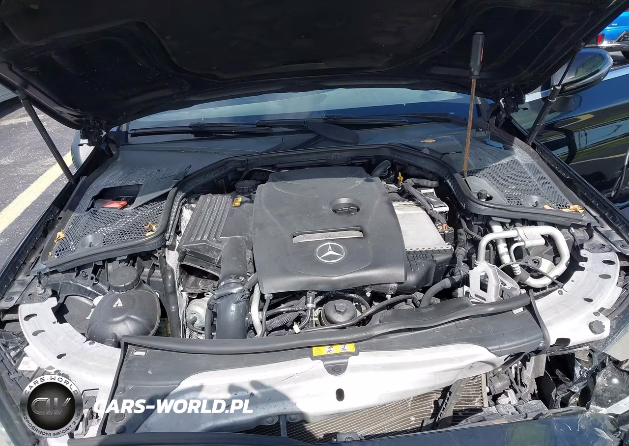 2017 Mercedes-Benz C 300 VIN:WDDWJ4JB8HF384655 - 10