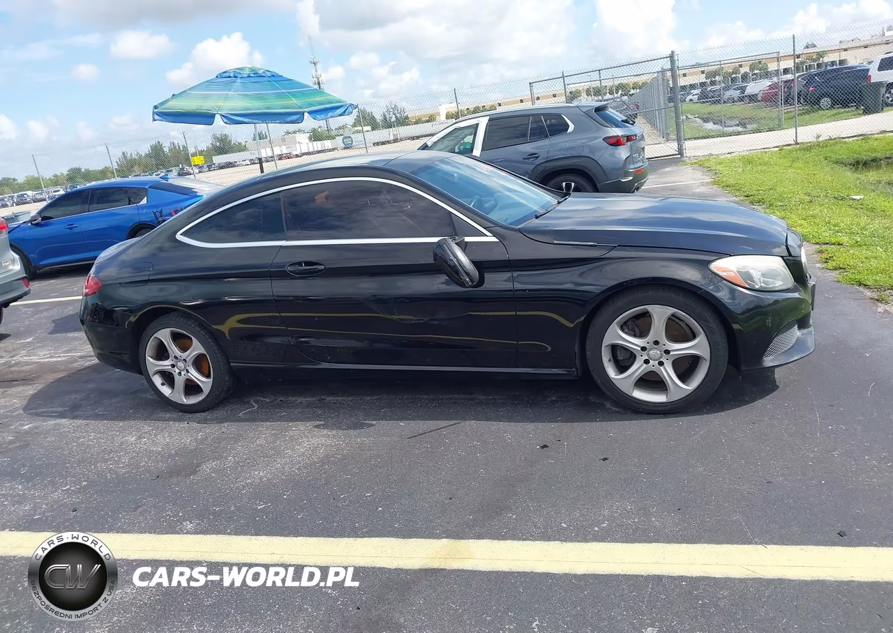 2017 Mercedes-Benz C 300 VIN:WDDWJ4JB8HF384655 - 12