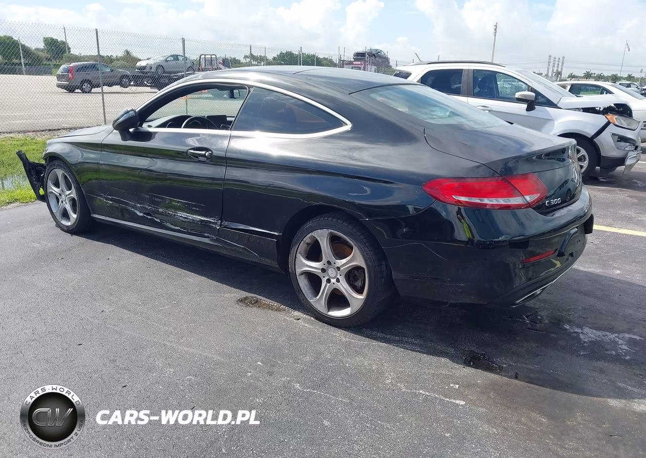 2017 Mercedes-Benz C 300 VIN:WDDWJ4JB8HF384655 - 3