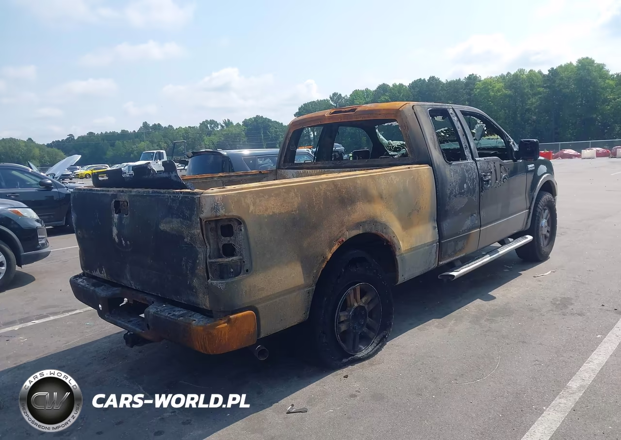 2004 Ford F-150 Fx4-Lariat-Xl-Xlt VIN:1FTPX14594NA35585 - 4