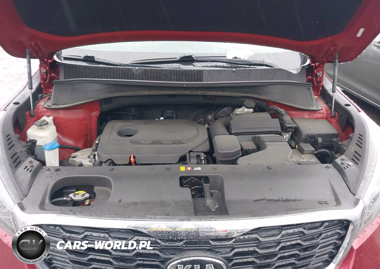 2019 Kia Sorento 2.4L Lx VIN:5XYPGDA36KG563870 - 10