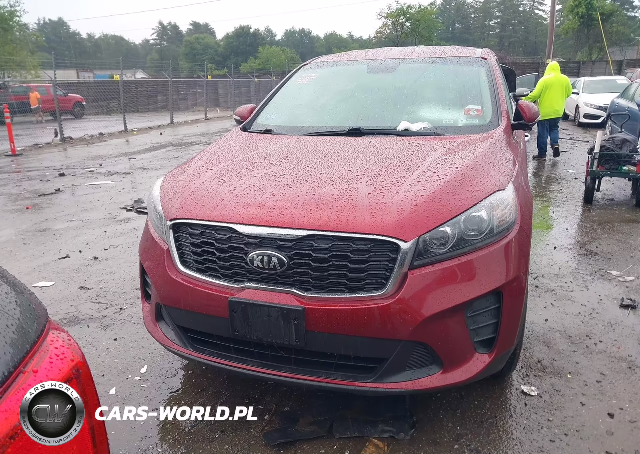 2019 Kia Sorento 2.4L Lx VIN:5XYPGDA36KG563870 - 12