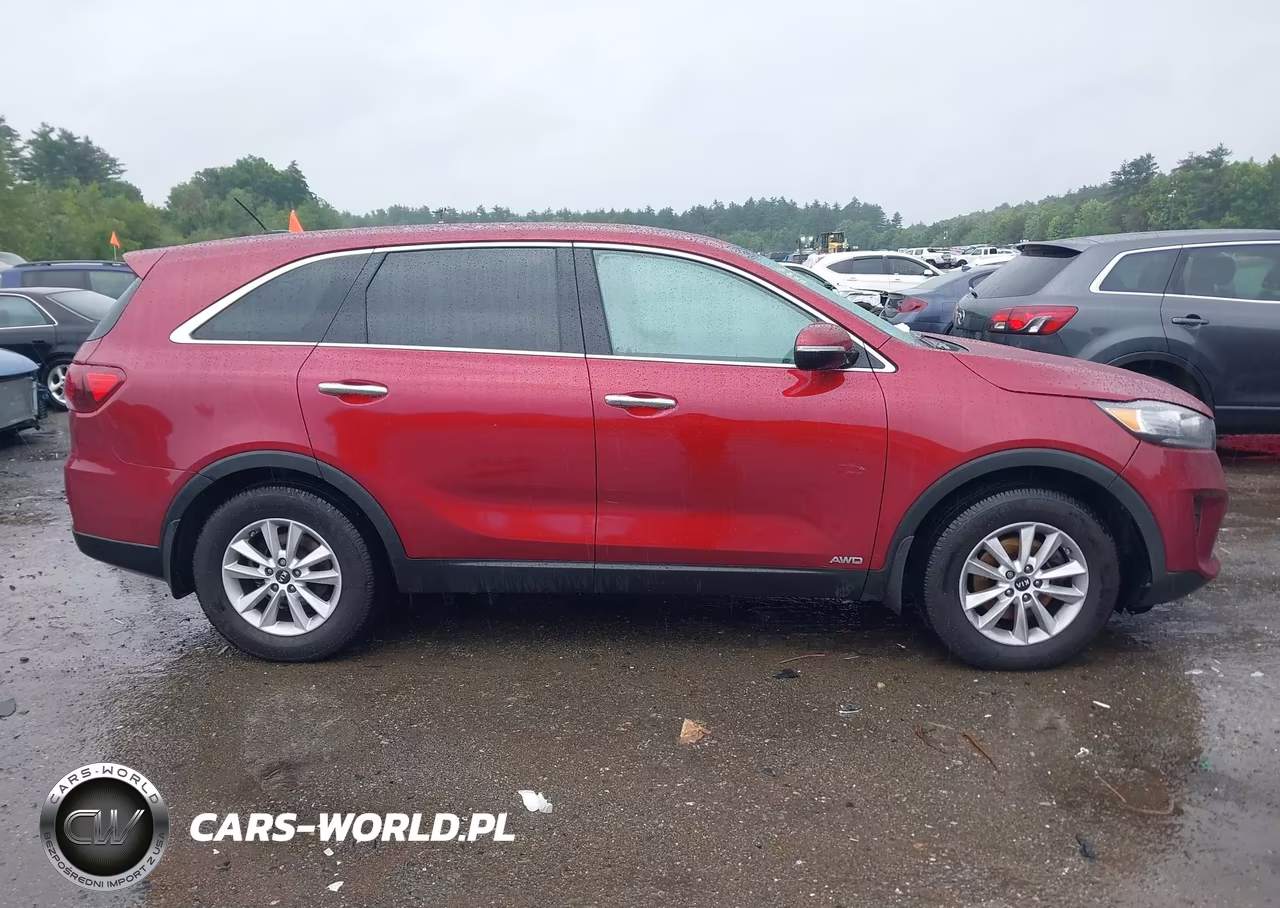 2019 Kia Sorento 2.4L Lx VIN:5XYPGDA36KG563870 - 13