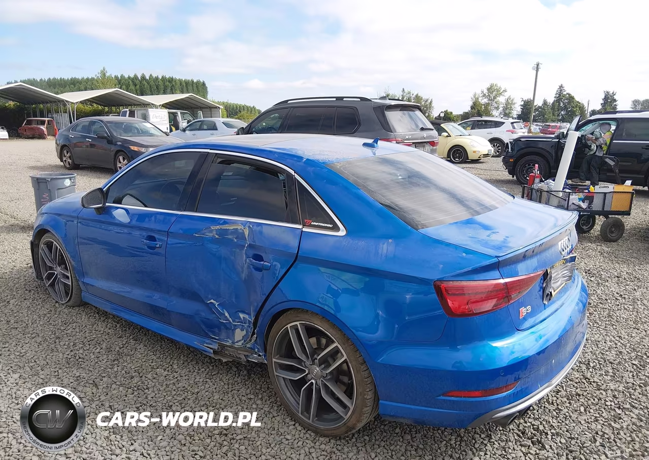 2017 Audi S3 Premium Plus VIN:WAUB1GFFXH1050966 - 3