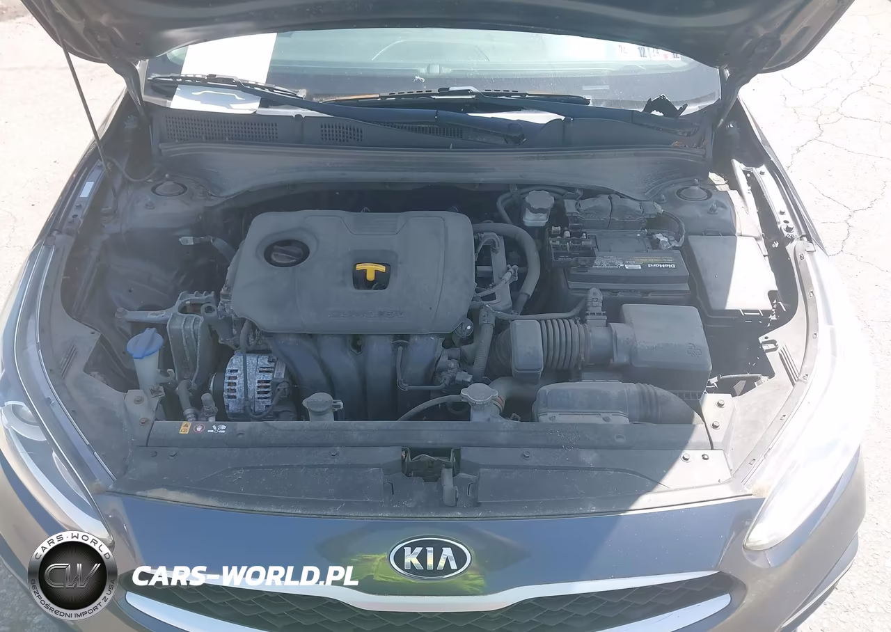 2019 Kia Forte Fe VIN:3KPF24AD4KE046213 - 10