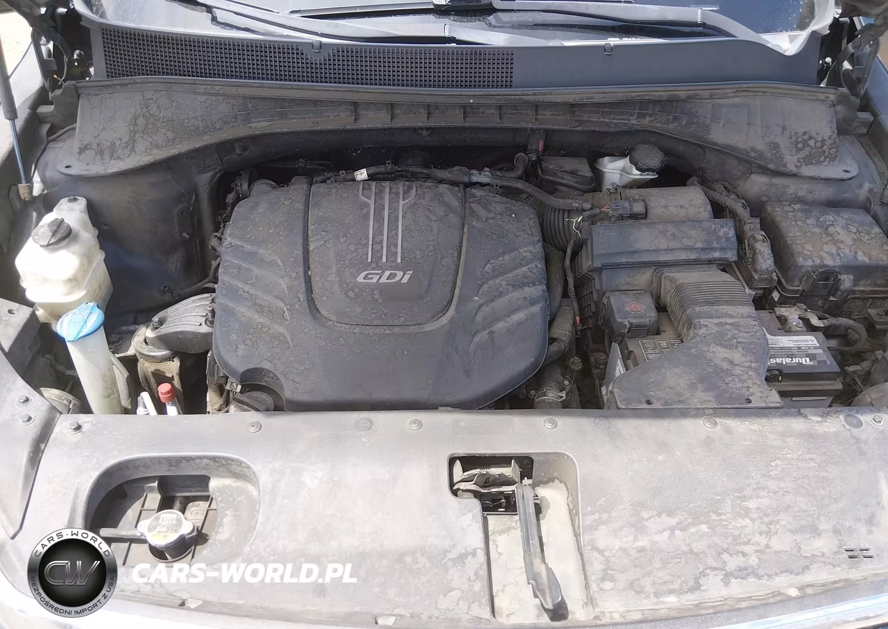 2016 Kia Sorento 3.3L Ex VIN:5XYPHDA5XGG032791 - 10