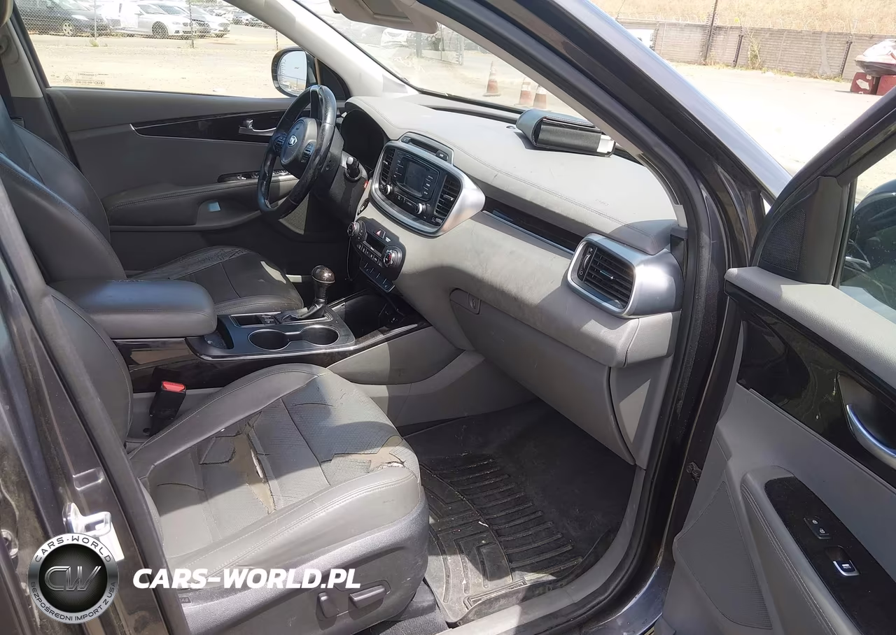 2016 Kia Sorento 3.3L Ex VIN:5XYPHDA5XGG032791 - 5