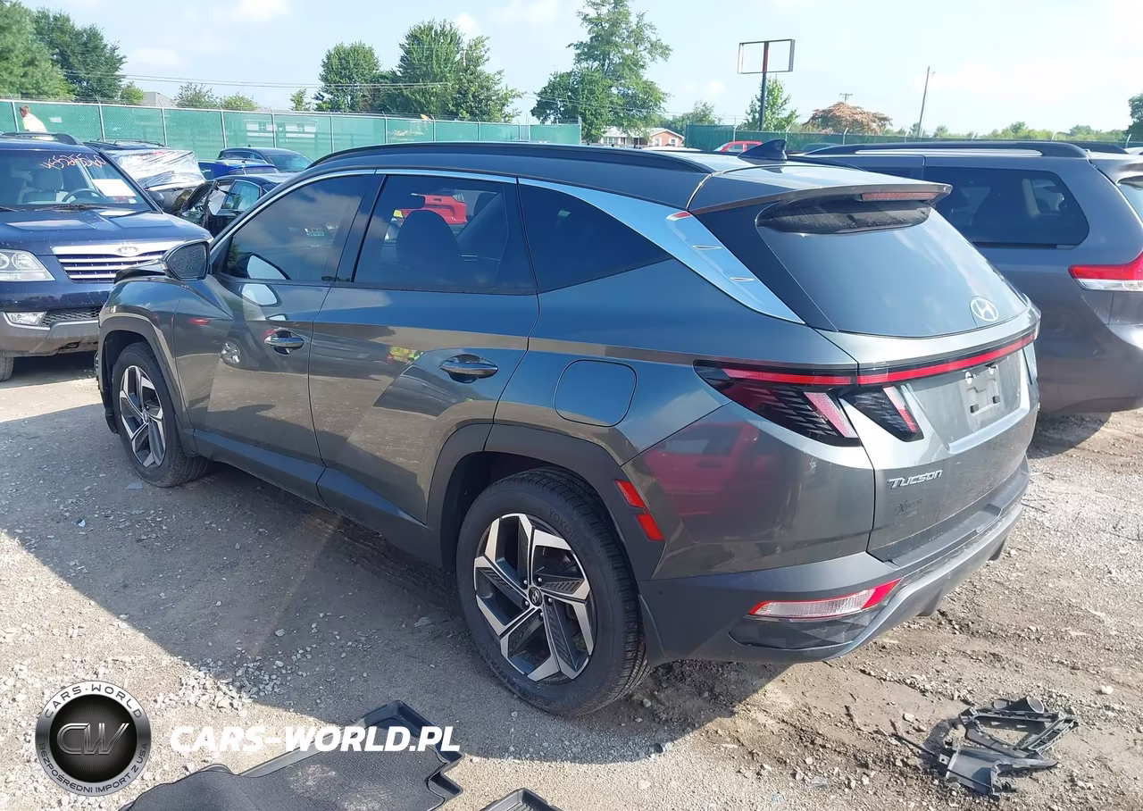 2022 Hyundai Tucson Limited VIN:5NMJECAE7NH104588 - 3