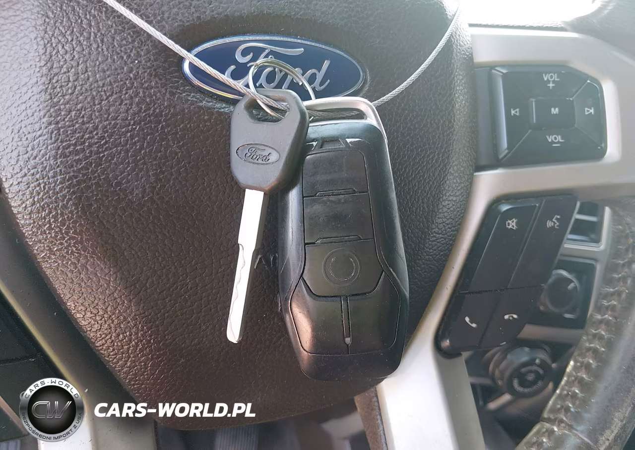 2017 Ford F-150 King Ranch-Lariat-Limited-Platinum-Xl-Xlt VIN:1FTEW1EG0HFC17895 - 11