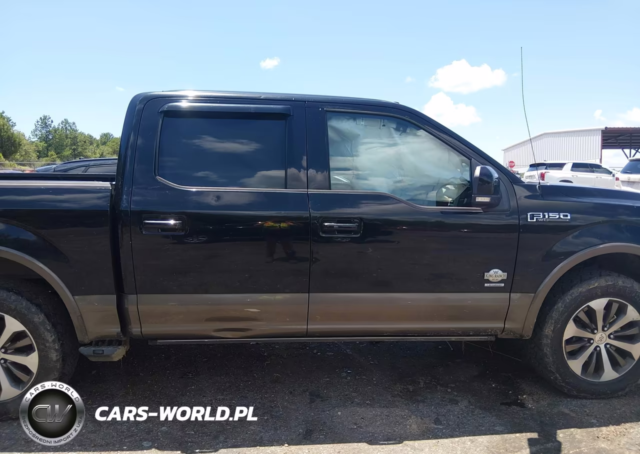 2017 Ford F-150 King Ranch-Lariat-Limited-Platinum-Xl-Xlt VIN:1FTEW1EG0HFC17895 - 14