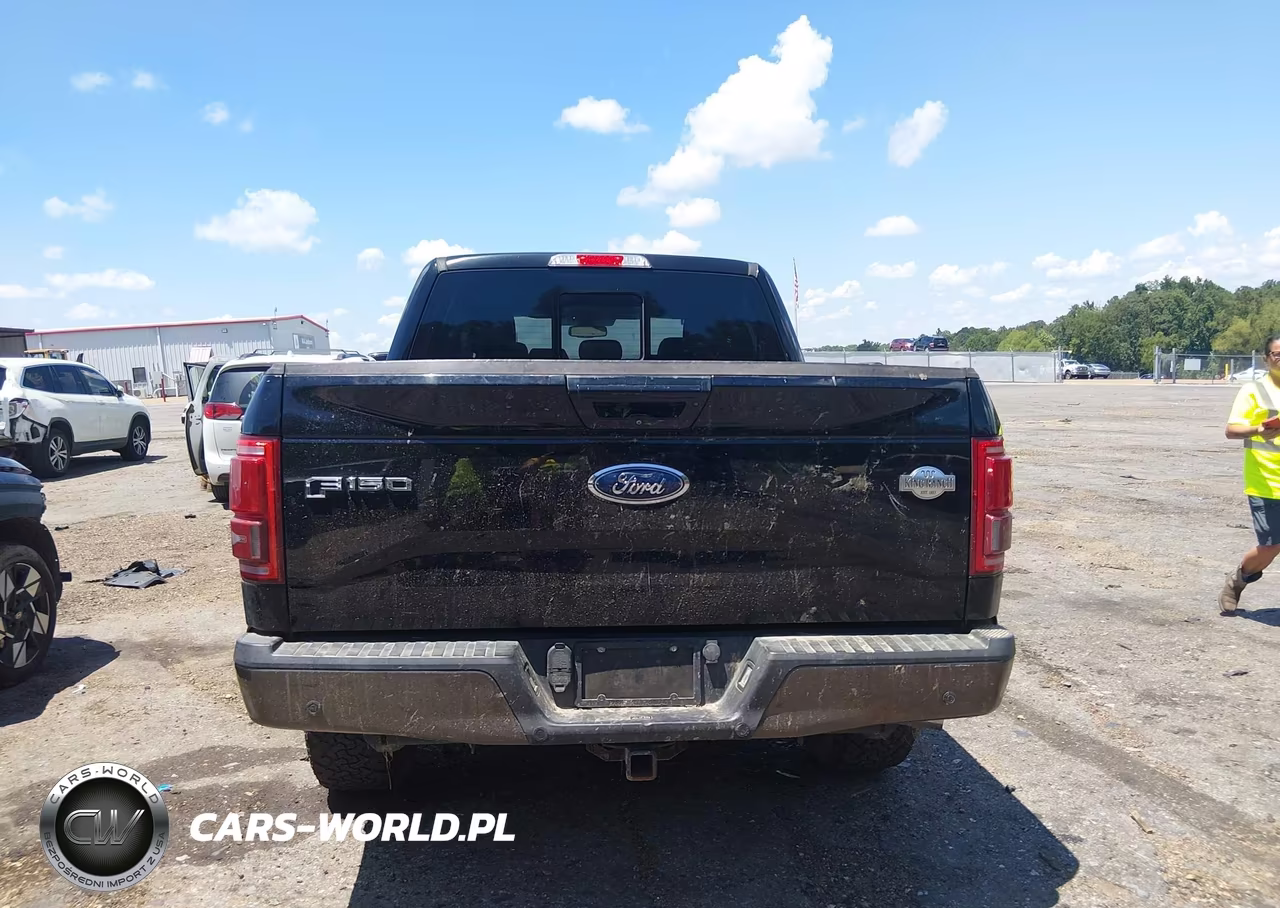 2017 Ford F-150 King Ranch-Lariat-Limited-Platinum-Xl-Xlt VIN:1FTEW1EG0HFC17895 - 17