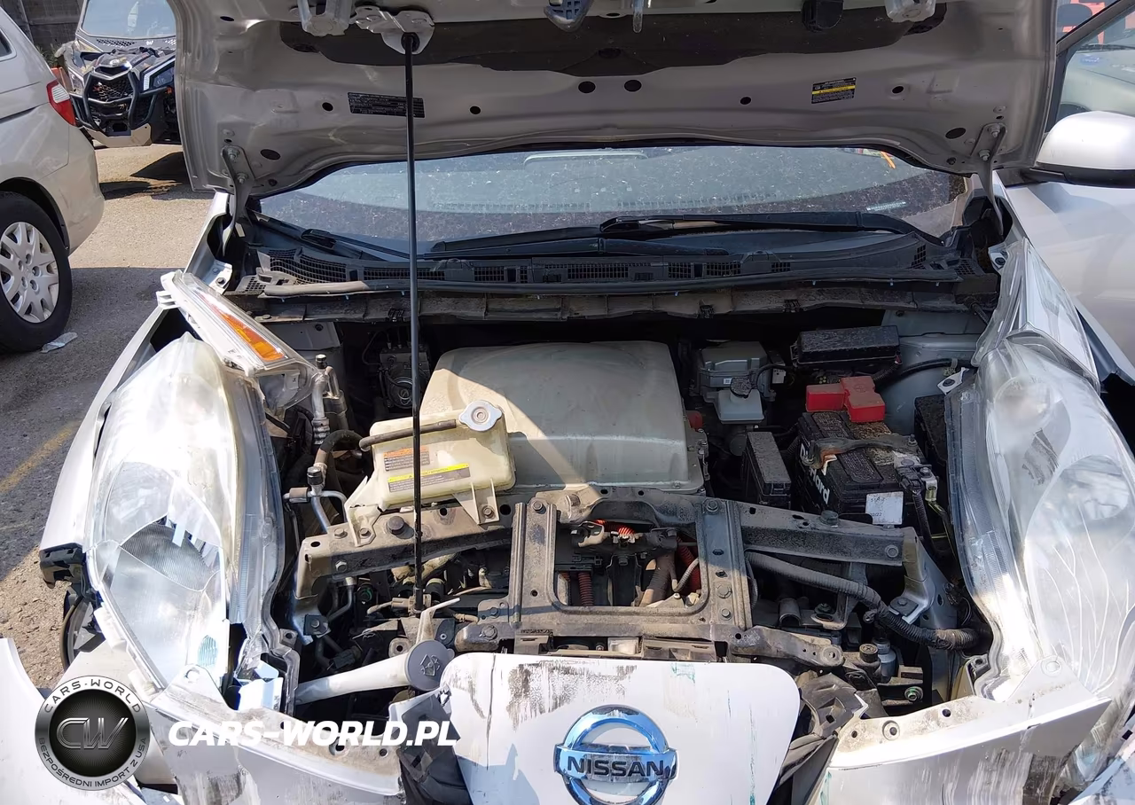 2016 Nissan Leaf S VIN:1N4AZ0CP2GC307395 - 10