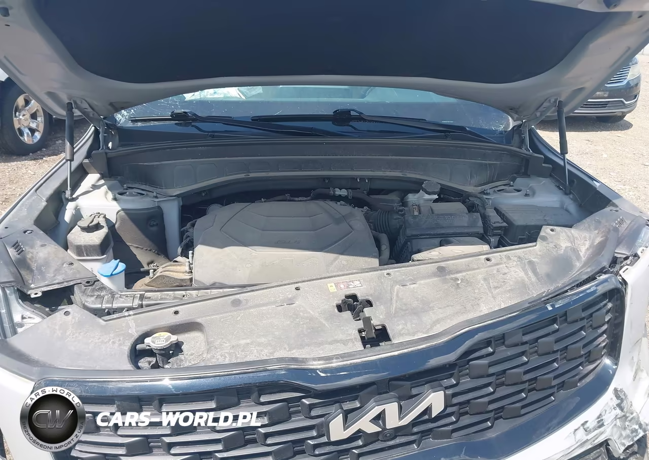 2022 Kia Telluride Sx VIN:5XYP5DHC3NG230042 - 10