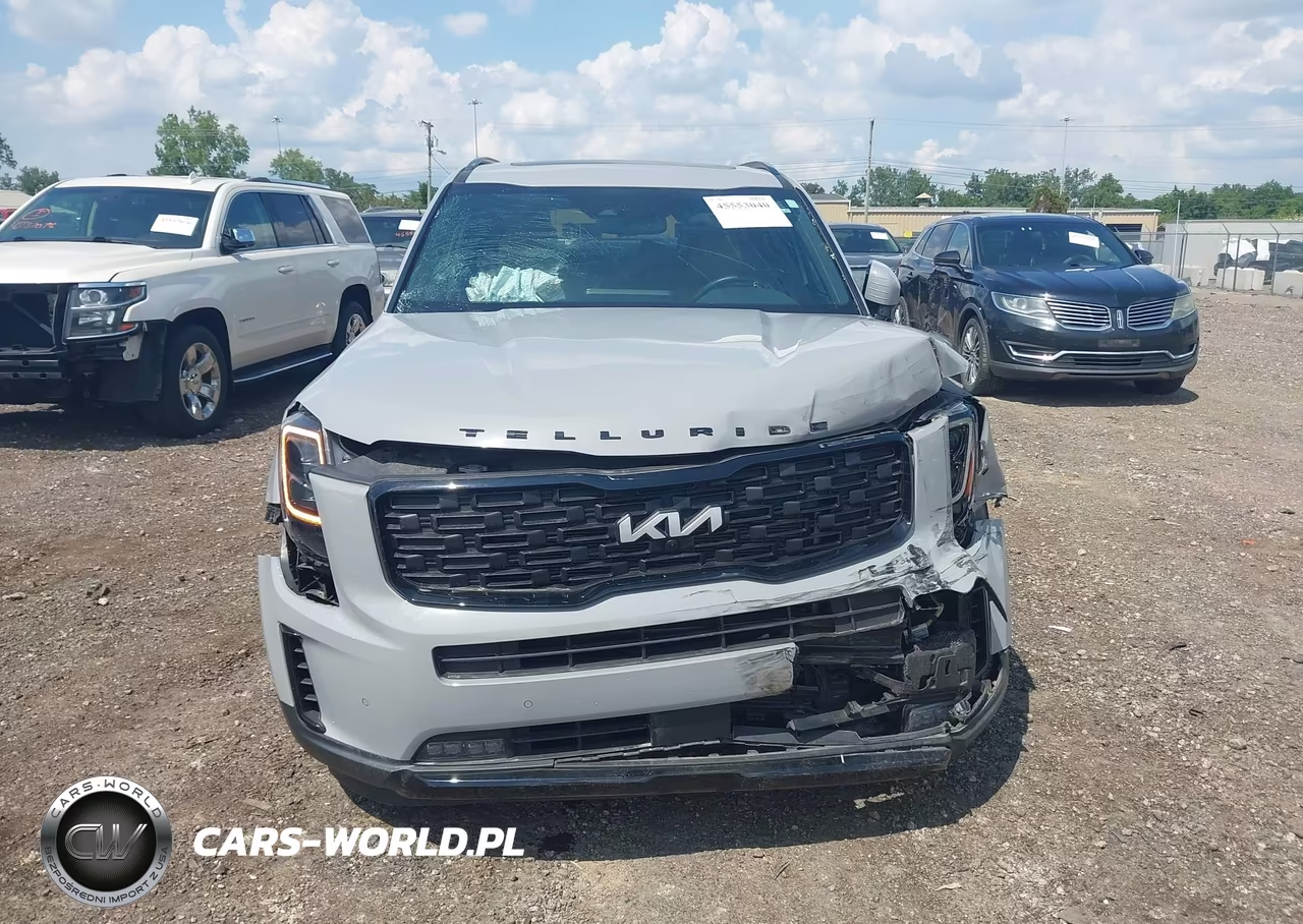 2022 Kia Telluride Sx VIN:5XYP5DHC3NG230042 - 12
