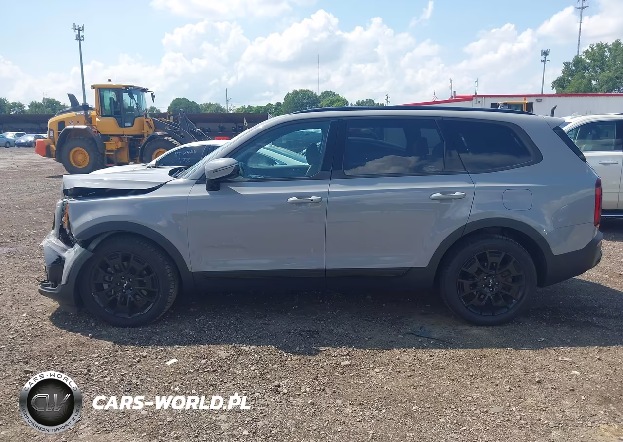 2022 Kia Telluride Sx VIN:5XYP5DHC3NG230042 - 14