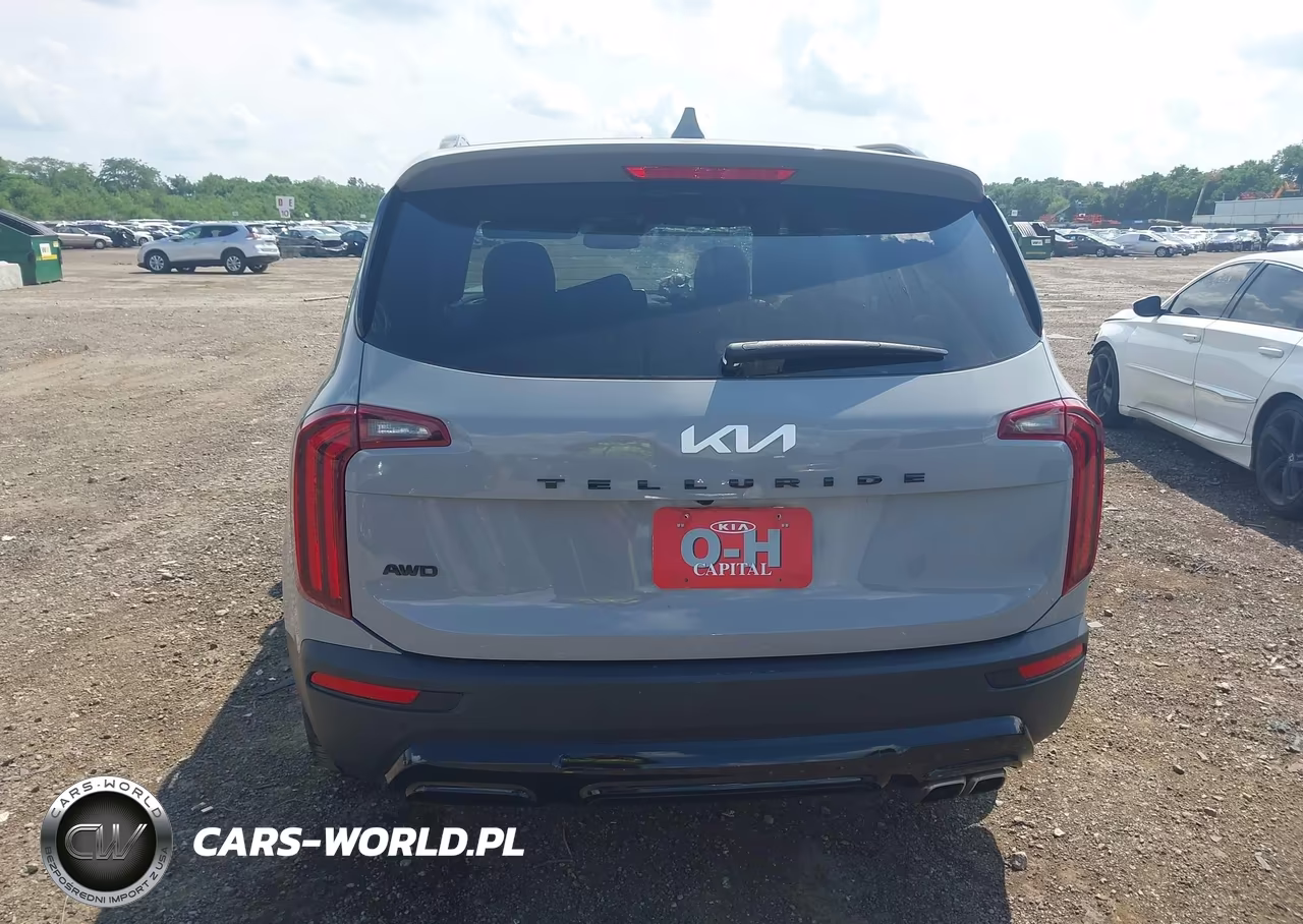 2022 Kia Telluride Sx VIN:5XYP5DHC3NG230042 - 16