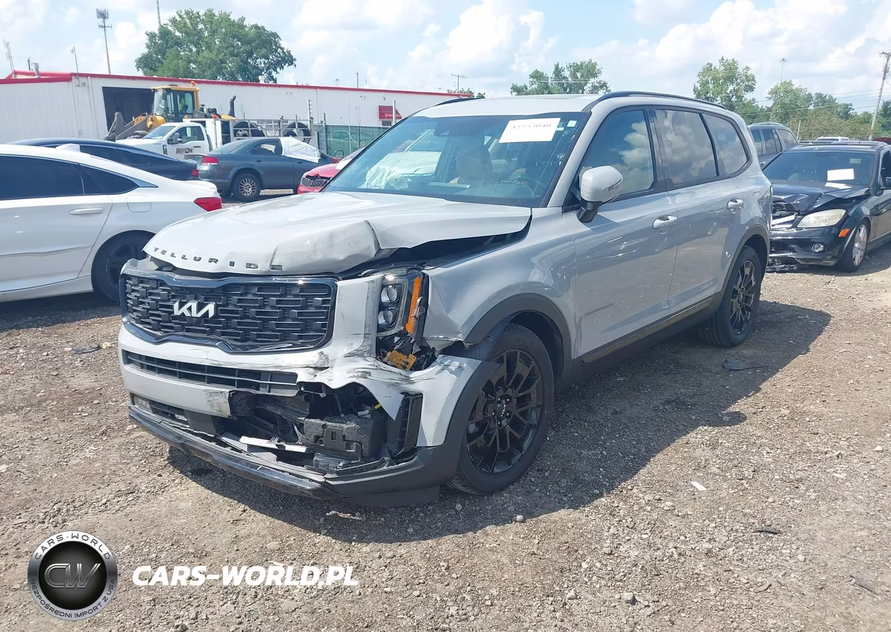 2022 Kia Telluride Sx VIN:5XYP5DHC3NG230042 - 2