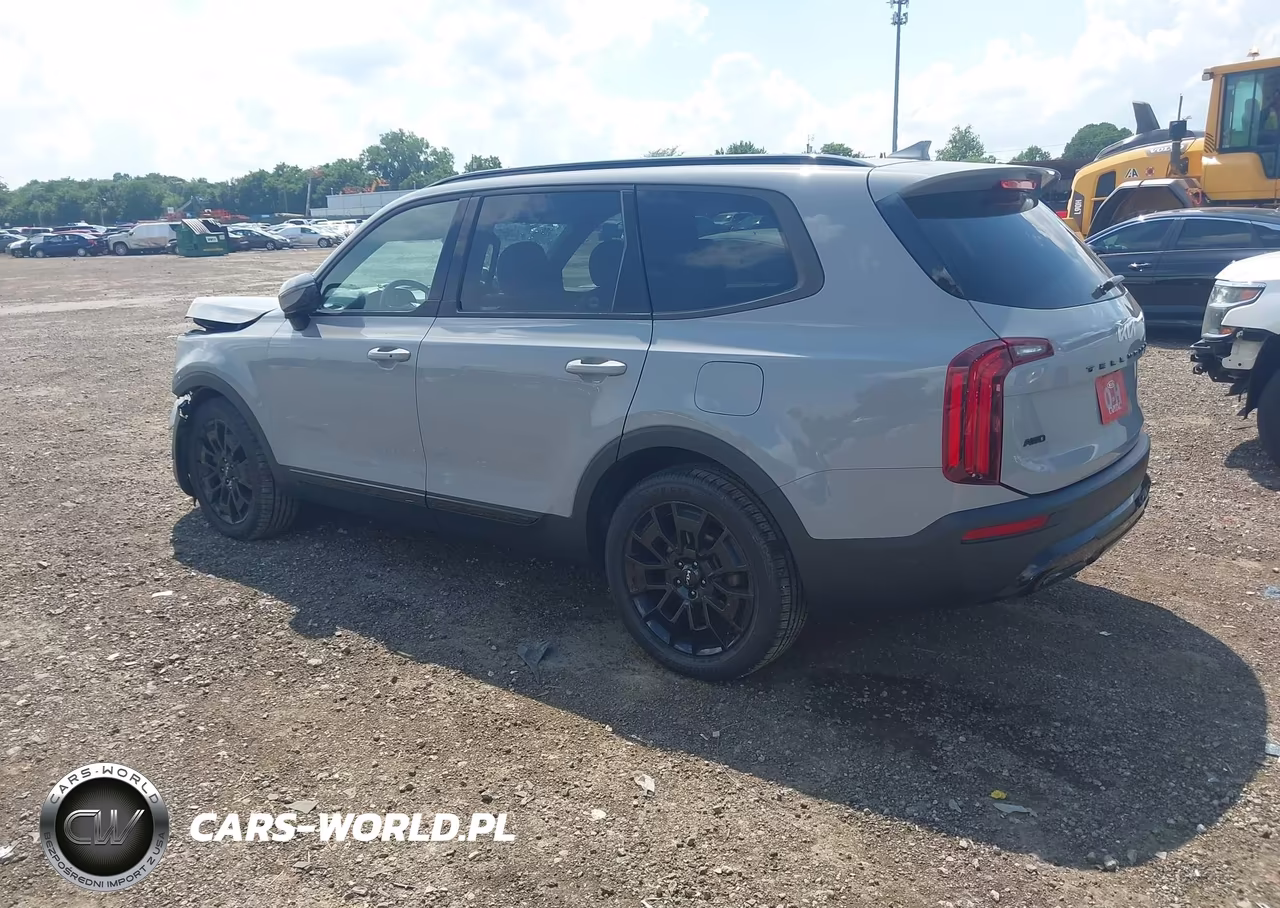 2022 Kia Telluride Sx VIN:5XYP5DHC3NG230042 - 3