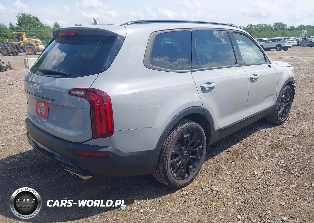 2022 Kia Telluride Sx VIN:5XYP5DHC3NG230042 - 4