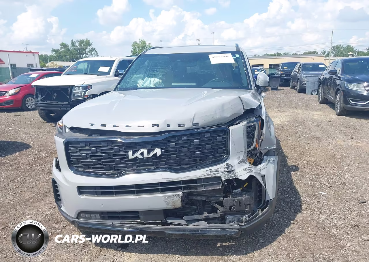 2022 Kia Telluride Sx VIN:5XYP5DHC3NG230042 - 6