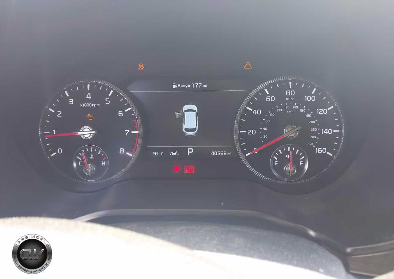2022 Kia Telluride Sx VIN:5XYP5DHC3NG230042 - 7