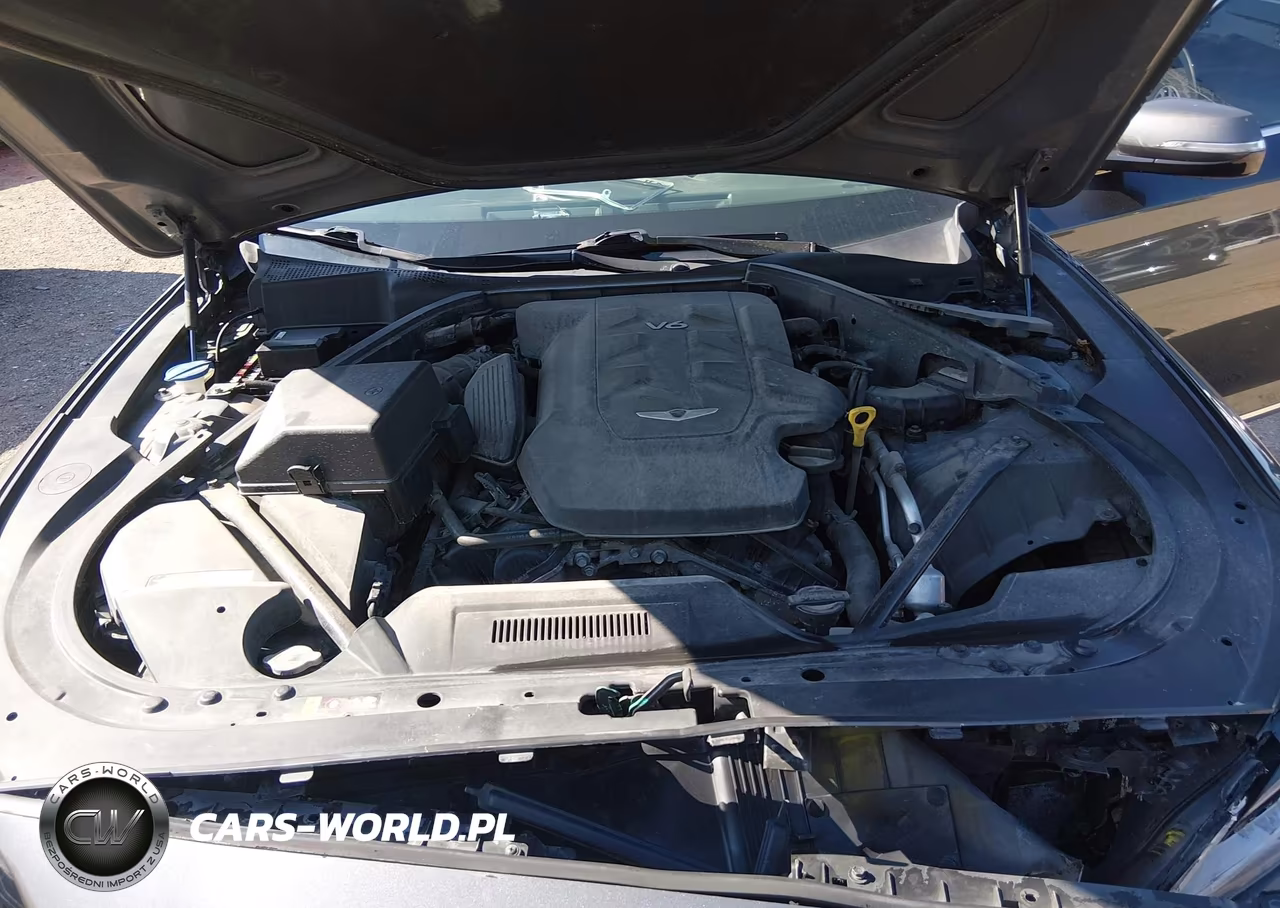 2017 Genesis G80 3.8 VIN:KMHGN4JE3HU194217 - 10