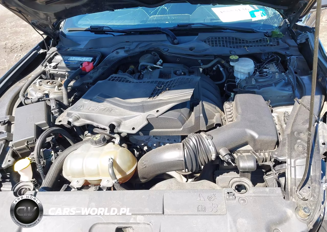 2019 Ford Mustang Ecoboost-Ecoboost Premium VIN:1FA6P8TH9K5181522 - 10