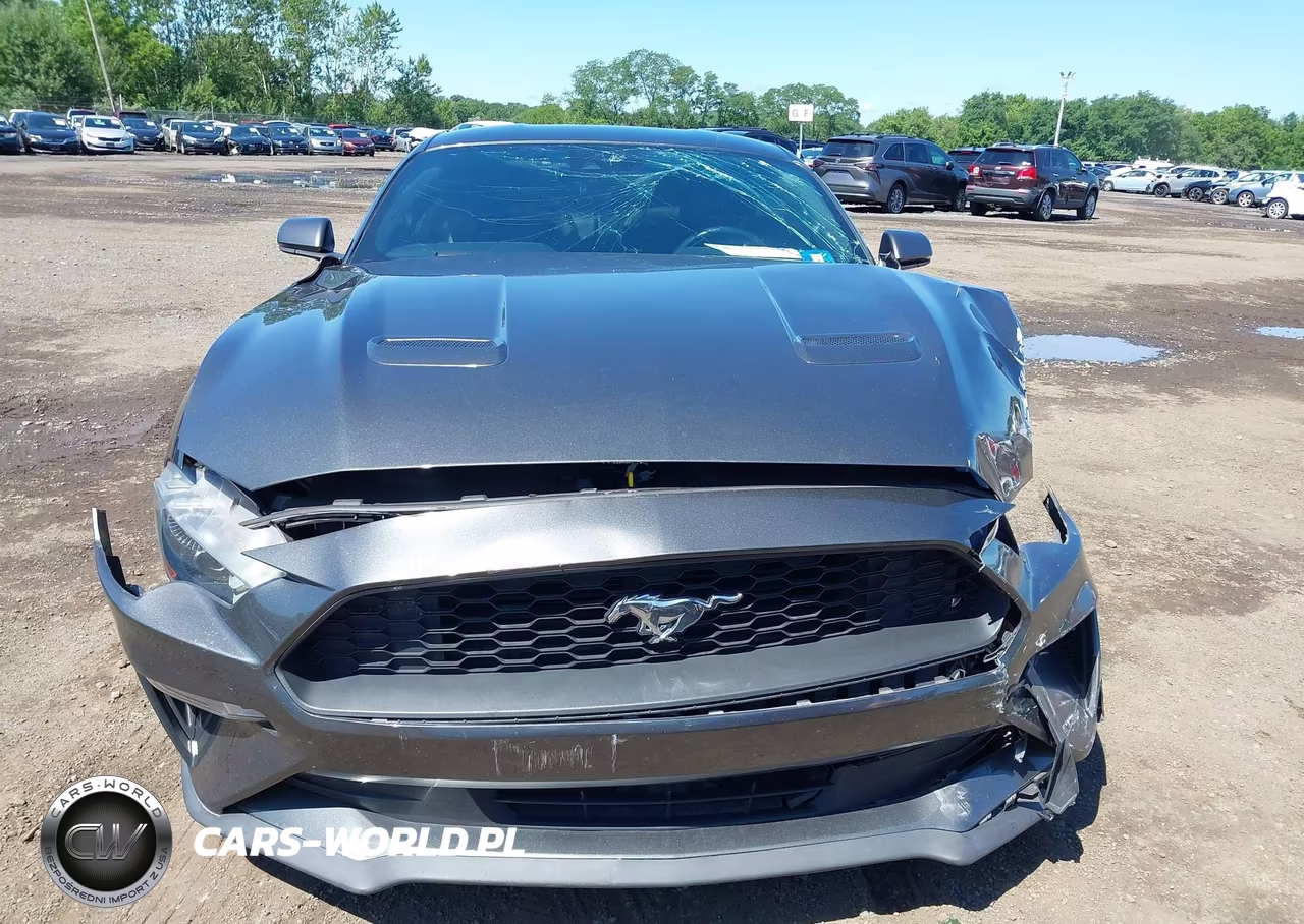 2019 Ford Mustang Ecoboost-Ecoboost Premium VIN:1FA6P8TH9K5181522 - 12