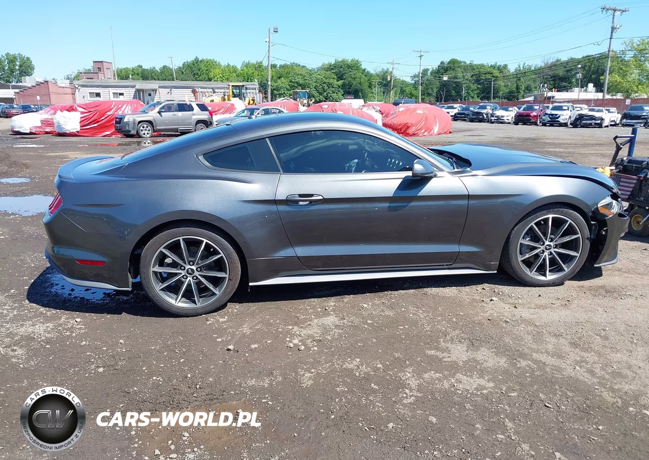 2019 Ford Mustang Ecoboost-Ecoboost Premium VIN:1FA6P8TH9K5181522 - 13