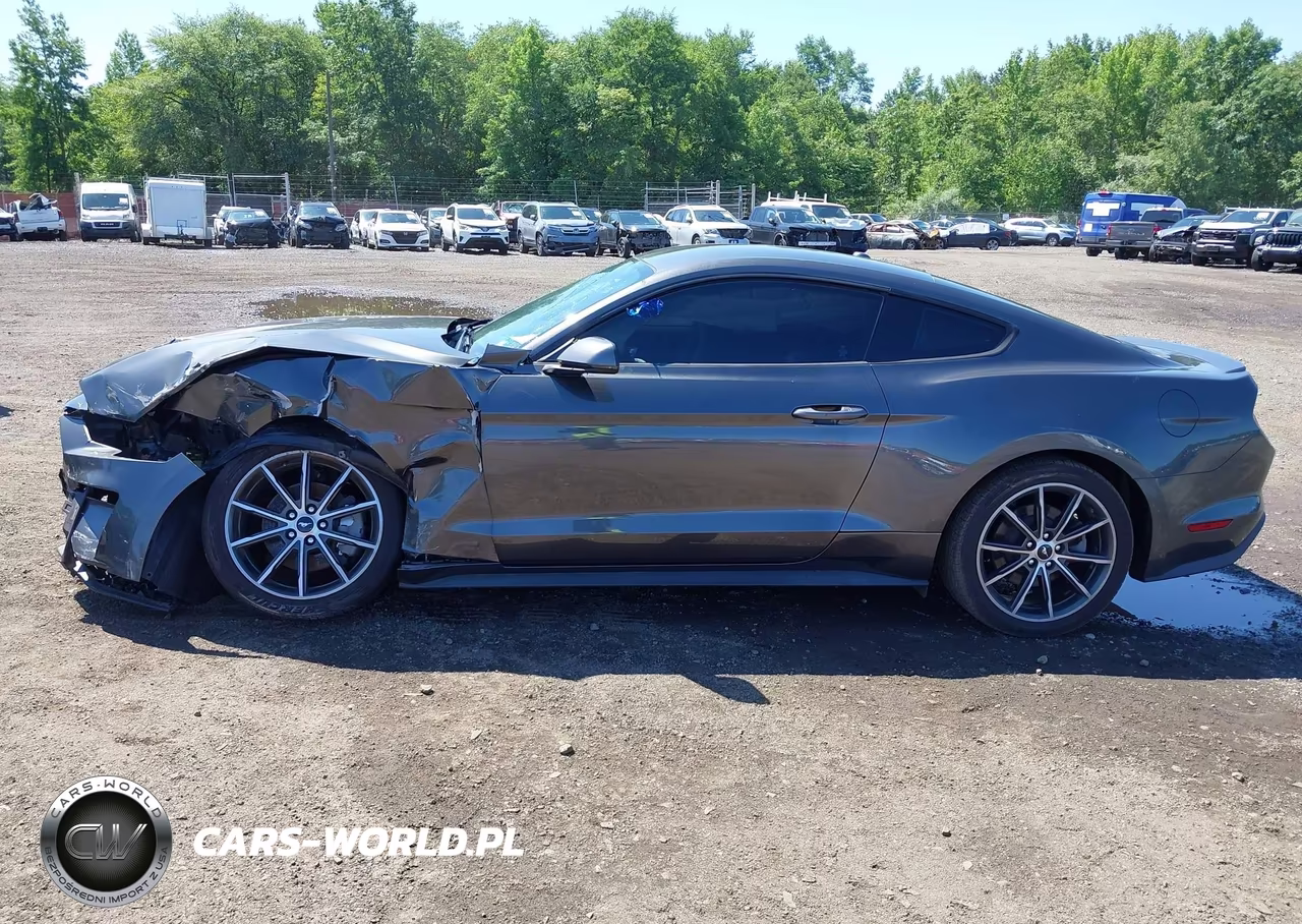 2019 Ford Mustang Ecoboost-Ecoboost Premium VIN:1FA6P8TH9K5181522 - 14
