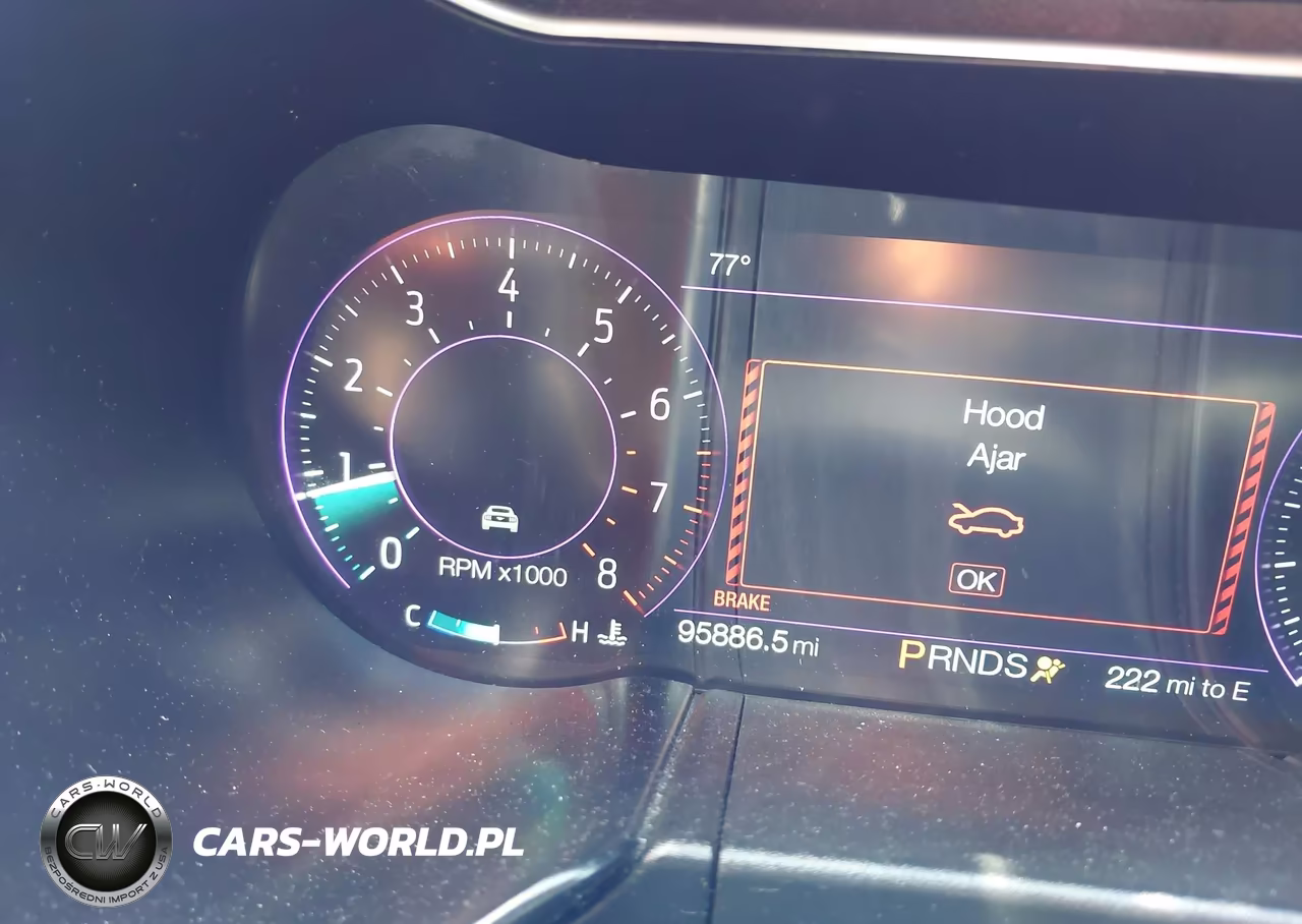 2019 Ford Mustang Ecoboost-Ecoboost Premium VIN:1FA6P8TH9K5181522 - 15