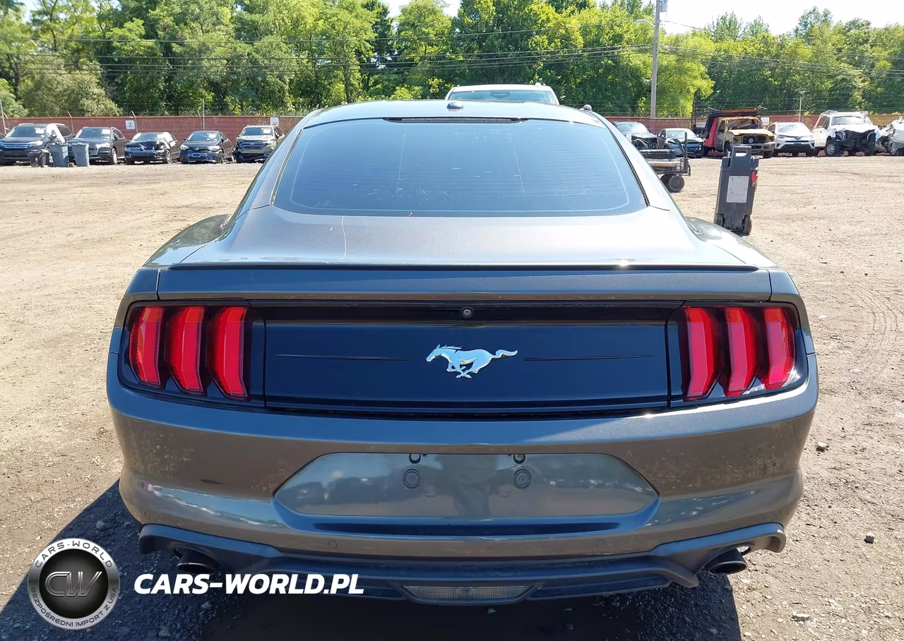 2019 Ford Mustang Ecoboost-Ecoboost Premium VIN:1FA6P8TH9K5181522 - 16