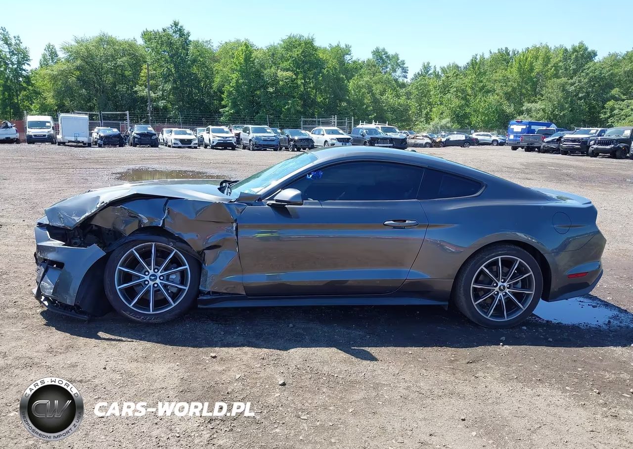 2019 Ford Mustang Ecoboost-Ecoboost Premium VIN:1FA6P8TH9K5181522 - 17