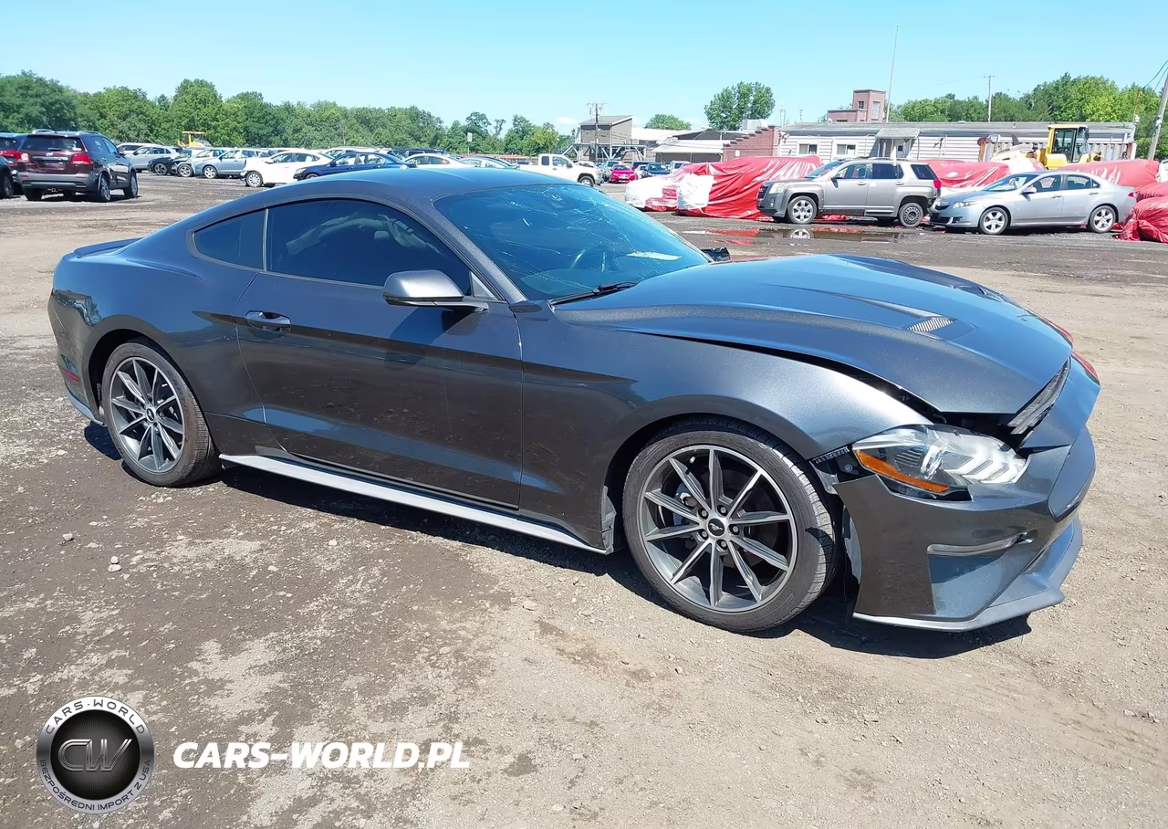 2019 Ford Mustang Ecoboost-Ecoboost Premium VIN:1FA6P8TH9K5181522 - 18