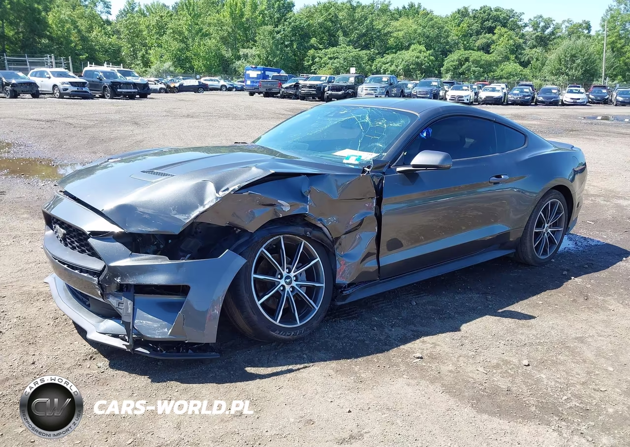 2019 Ford Mustang Ecoboost-Ecoboost Premium VIN:1FA6P8TH9K5181522 - 2