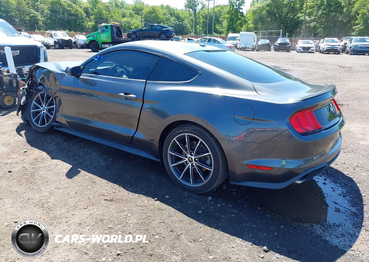 2019 Ford Mustang Ecoboost-Ecoboost Premium VIN:1FA6P8TH9K5181522 - 3