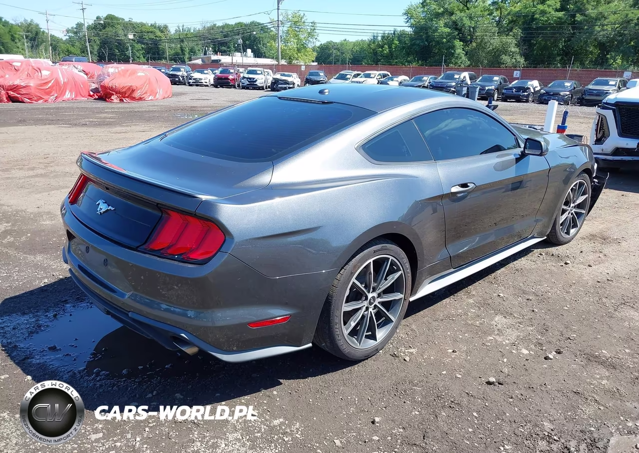 2019 Ford Mustang Ecoboost-Ecoboost Premium VIN:1FA6P8TH9K5181522 - 4