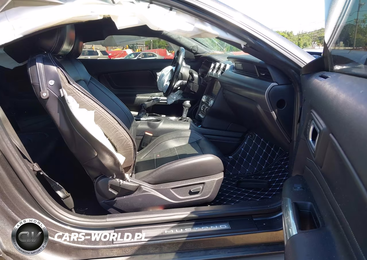 2019 Ford Mustang Ecoboost-Ecoboost Premium VIN:1FA6P8TH9K5181522 - 5