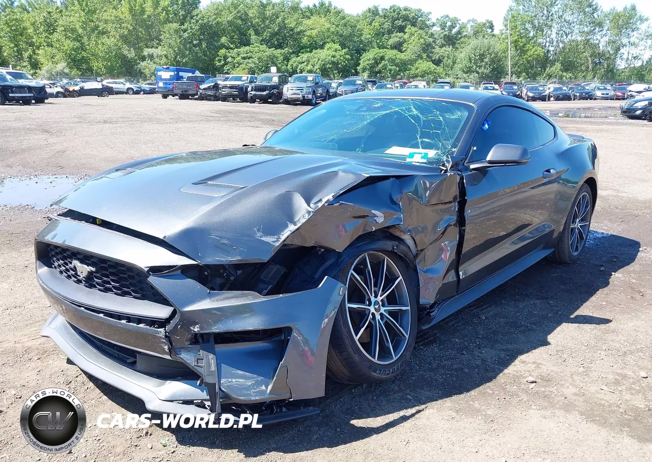 2019 Ford Mustang Ecoboost-Ecoboost Premium VIN:1FA6P8TH9K5181522 - 6