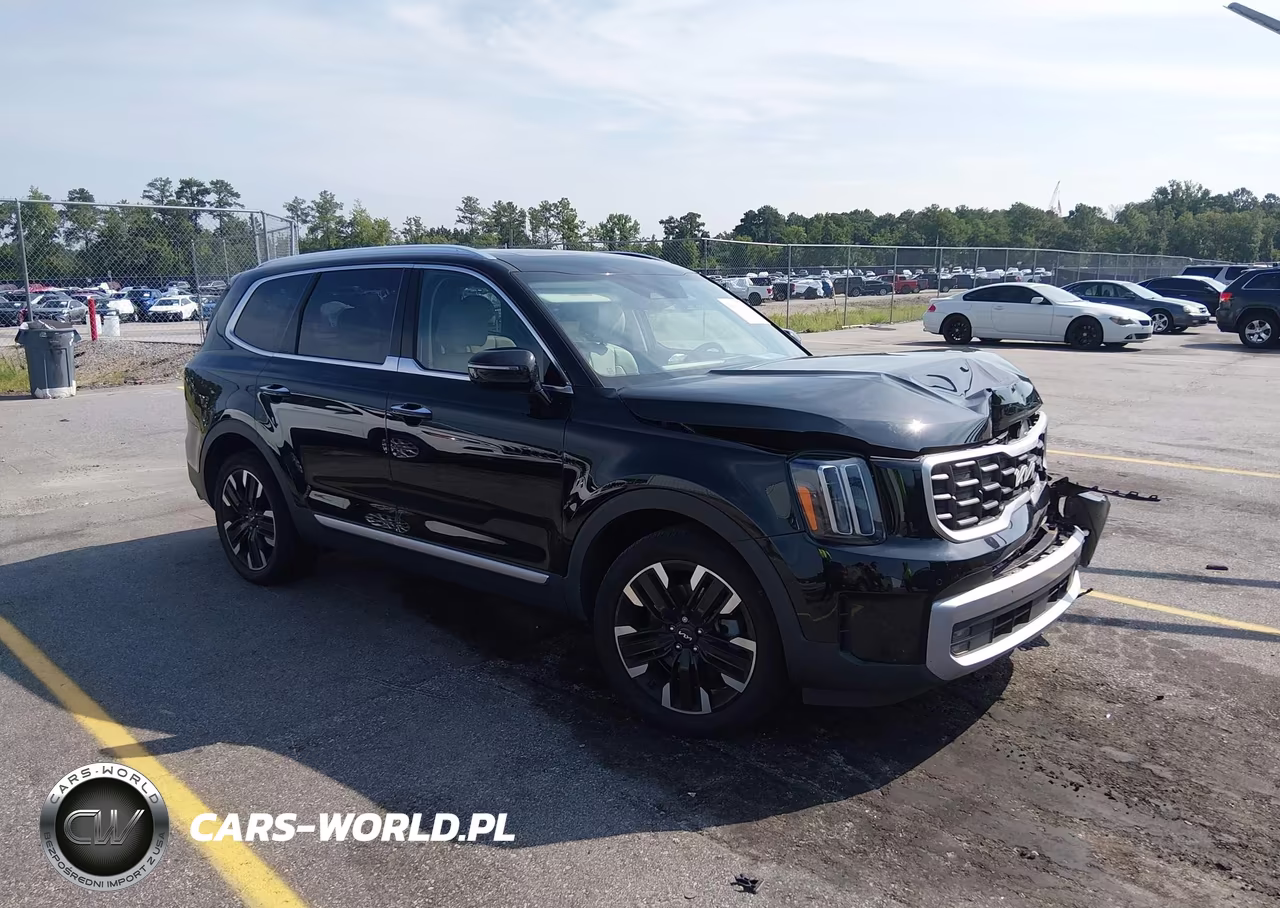 2023 Kia Telluride Sx VIN:5XYP54GC6PG401788 - 1