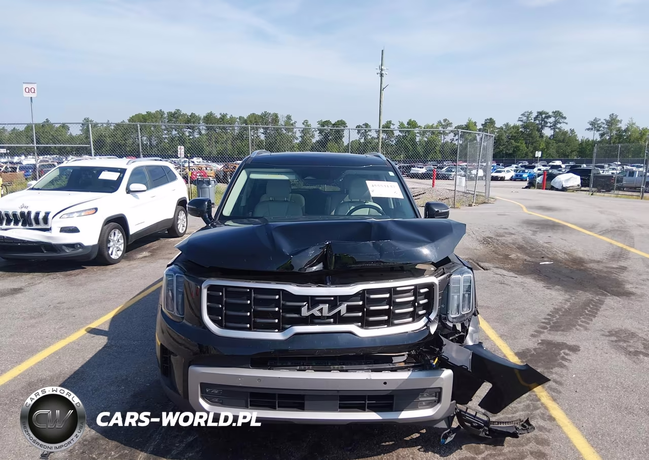 2023 Kia Telluride Sx VIN:5XYP54GC6PG401788 - 11